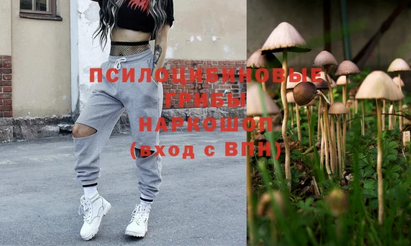 метадон Алексин