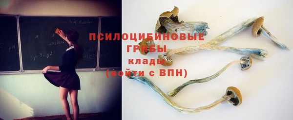 прущий лед Алексеевка