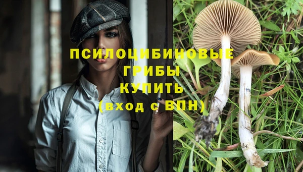 метадон Алексин